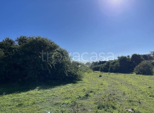terreno agricolo in vendita a Monserrato