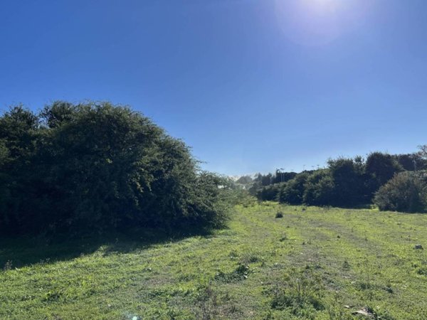 terreno agricolo in vendita a Monserrato