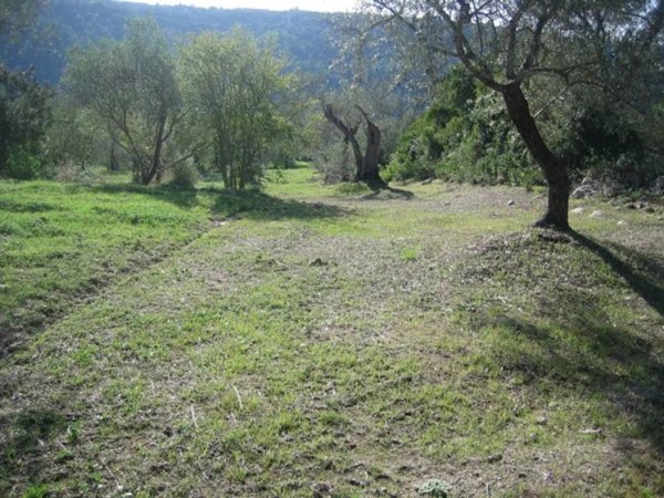 terreno agricolo in vendita a Monserrato