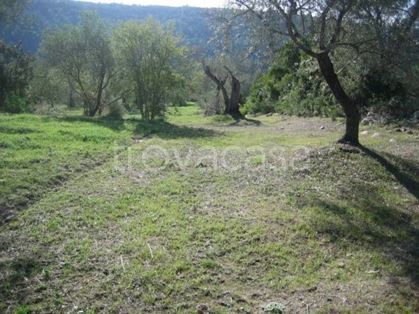 terreno agricolo in vendita a Monserrato