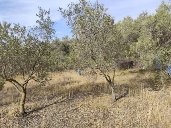 terreno edificabile in vendita a Monserrato