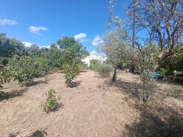 casa indipendente in vendita a Monserrato
