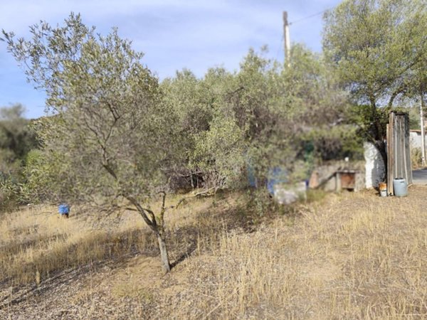 terreno in vendita a Monserrato