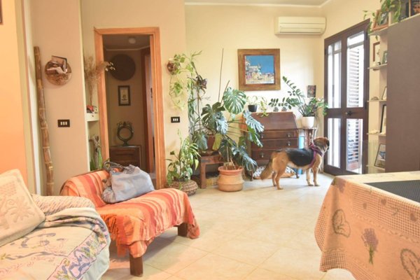 appartamento in vendita a Monserrato