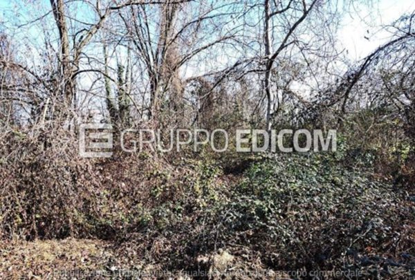 terreno agricolo in vendita ad Arba