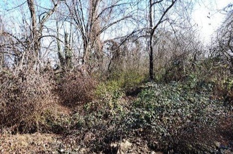 terreno agricolo in vendita ad Arba