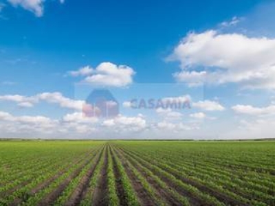 terreno agricolo in vendita ad Aviano