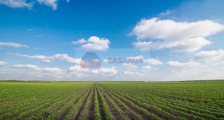 terreno agricolo in vendita ad Aviano