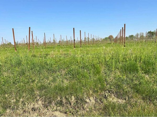 terreno agricolo in vendita ad Aviano