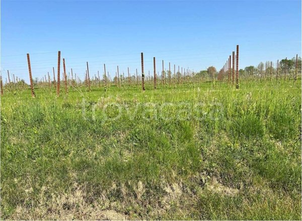 terreno agricolo in vendita ad Aviano