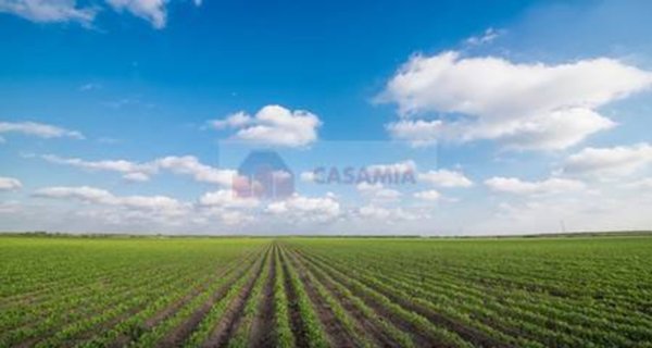 terreno agricolo in vendita ad Aviano