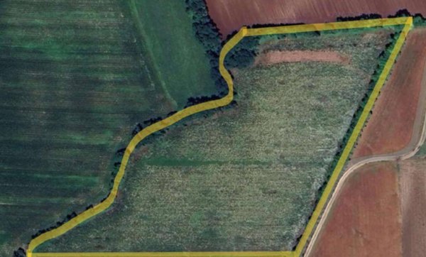 terreno agricolo in vendita ad Aviano