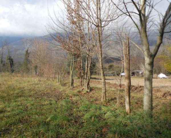 terreno edificabile in vendita ad Aviano