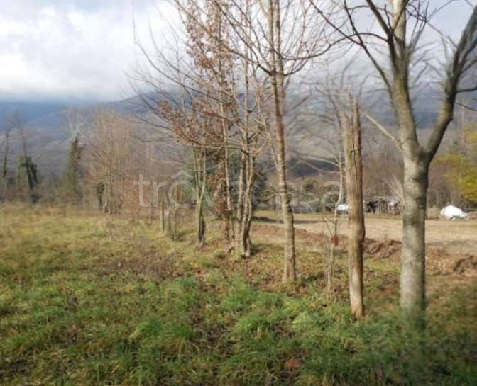 appartamento in vendita ad Aviano