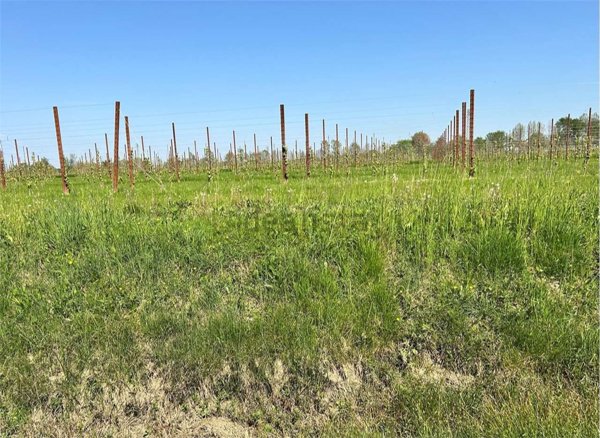 terreno in vendita ad Aviano