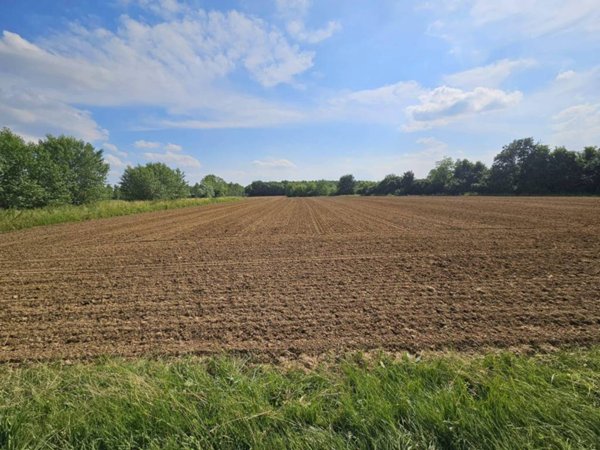 terreno agricolo in vendita ad Azzano Decimo