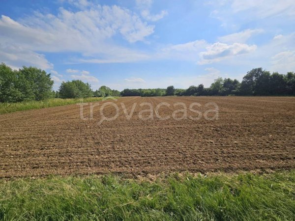 terreno agricolo in vendita ad Azzano Decimo