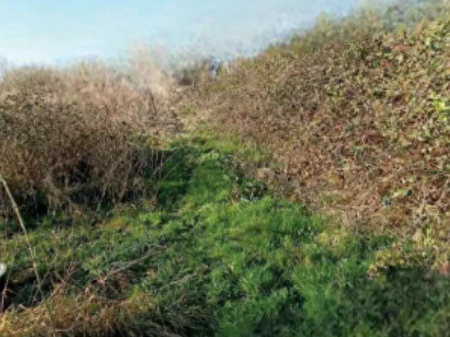 terreno agricolo in vendita ad Azzano Decimo in zona Tiezzo