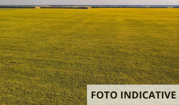 terreno agricolo in vendita ad Azzano Decimo in zona Tiezzo
