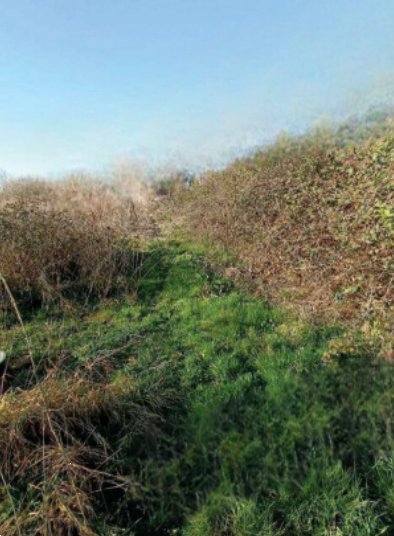 terreno agricolo in vendita ad Azzano Decimo in zona Tiezzo