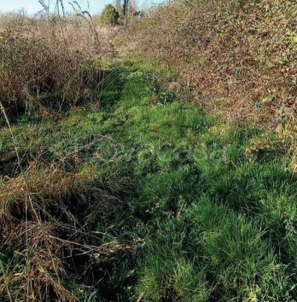 terreno edificabile in vendita ad Azzano Decimo in zona Tiezzo
