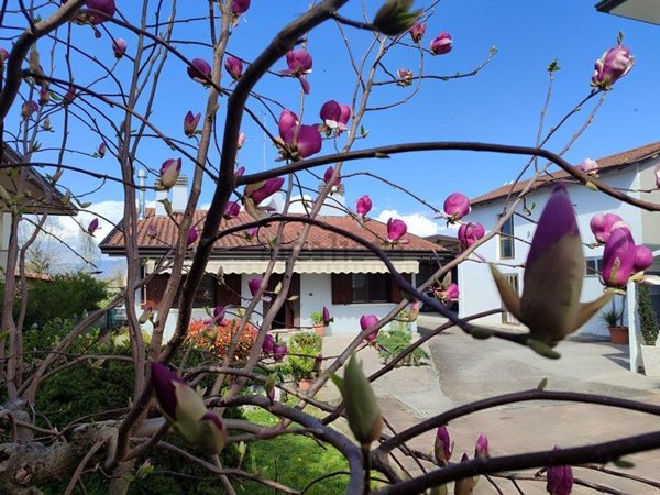 casa indipendente in vendita ad Azzano Decimo