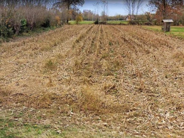 terreno agricolo in vendita ad Azzano Decimo