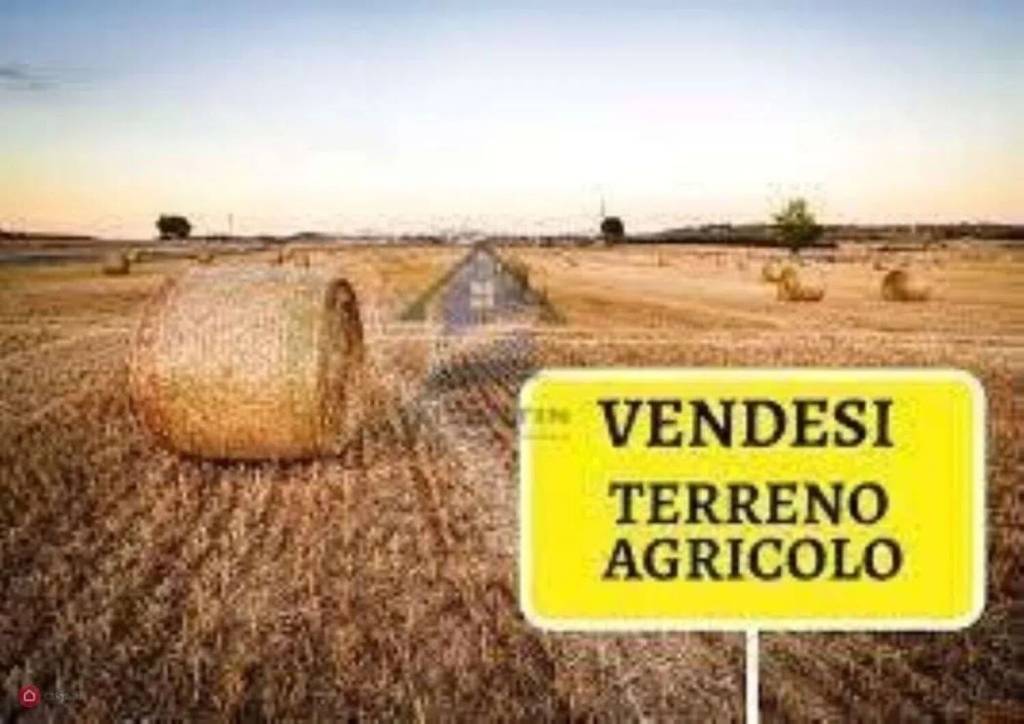 terreno agricolo in vendita ad Azzano Decimo