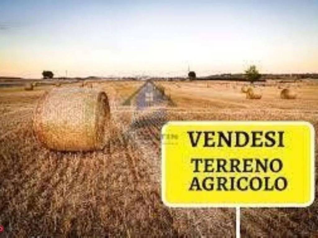 terreno agricolo in vendita ad Azzano Decimo