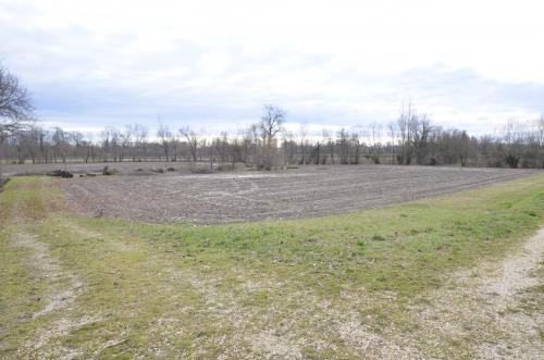 terreno agricolo in vendita ad Azzano Decimo