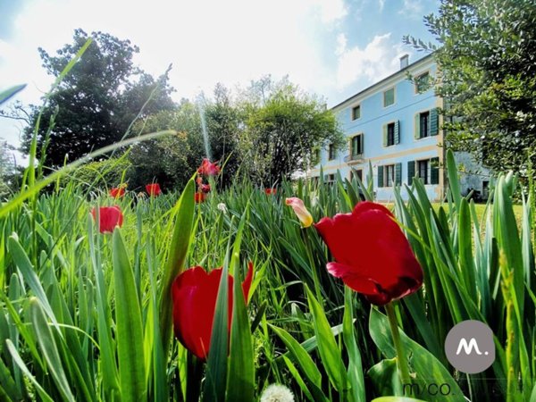 casa indipendente in vendita ad Azzano Decimo in zona Tiezzo