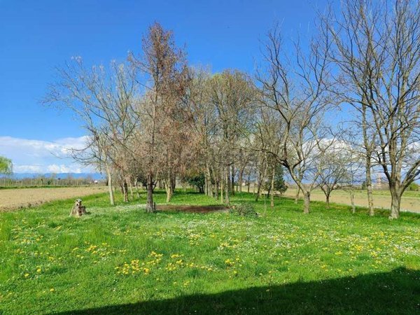 casa indipendente in vendita ad Azzano Decimo in zona Fagnigola