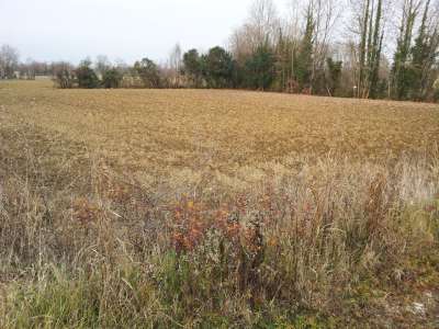 terreno agricolo in vendita a Brugnera