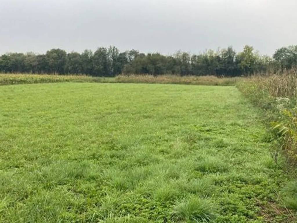 terreno agricolo in vendita a Brugnera