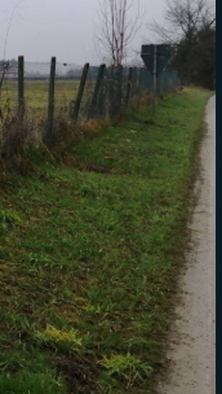 terreno agricolo in vendita a Brugnera in zona Maron