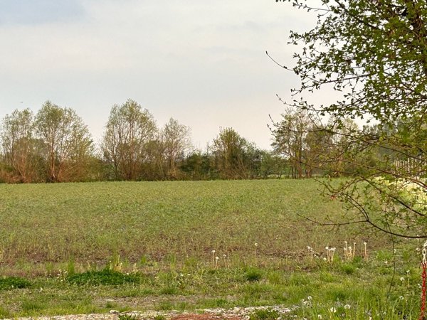 terreno in vendita a Brugnera