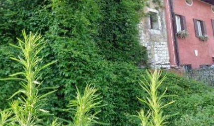 terreno agricolo in vendita a Caneva in zona Sarone
