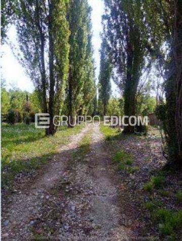 terreno agricolo in vendita a Caneva