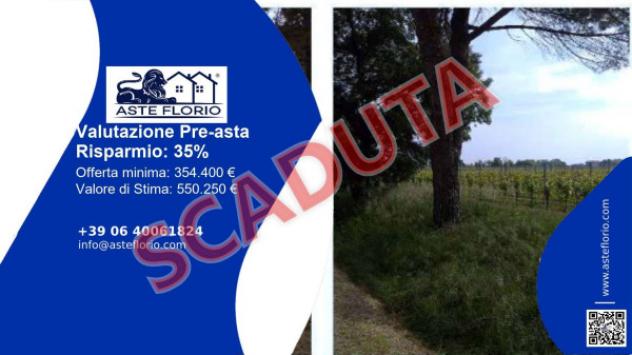 terreno agricolo in vendita a Caneva