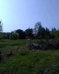 terreno agricolo in vendita a Caneva in zona Fratta