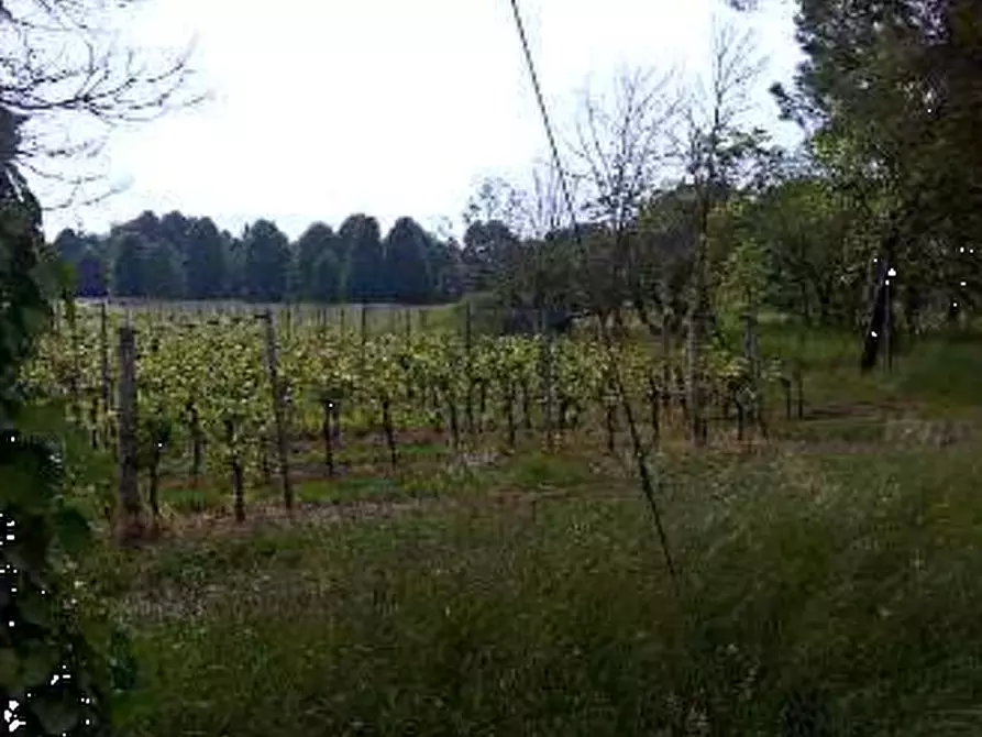 terreno agricolo in vendita a Caneva