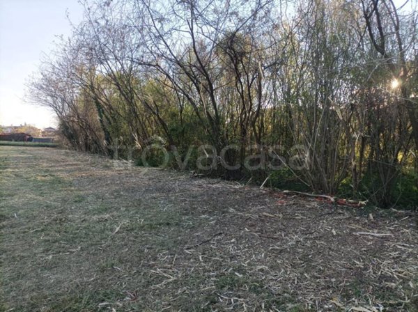 terreno agricolo in vendita a Caneva in zona Fiaschetti