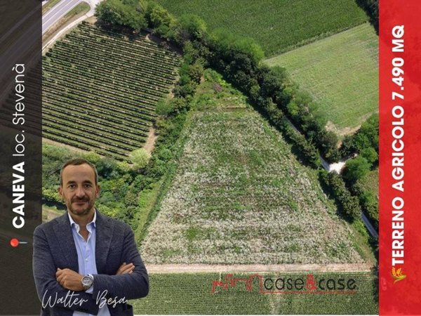 terreno agricolo in vendita a Caneva in zona Stevenà