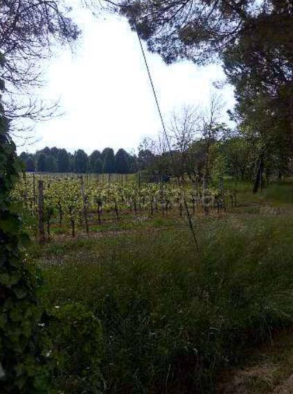 terreno in vendita a Caneva