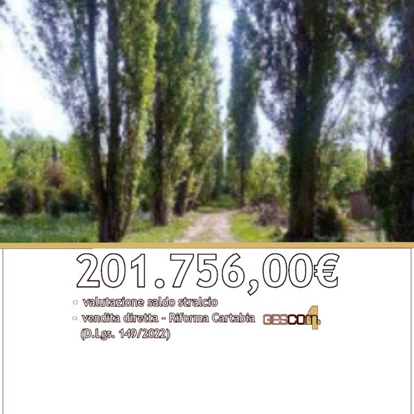 terreno in vendita a Caneva in zona Stevenà