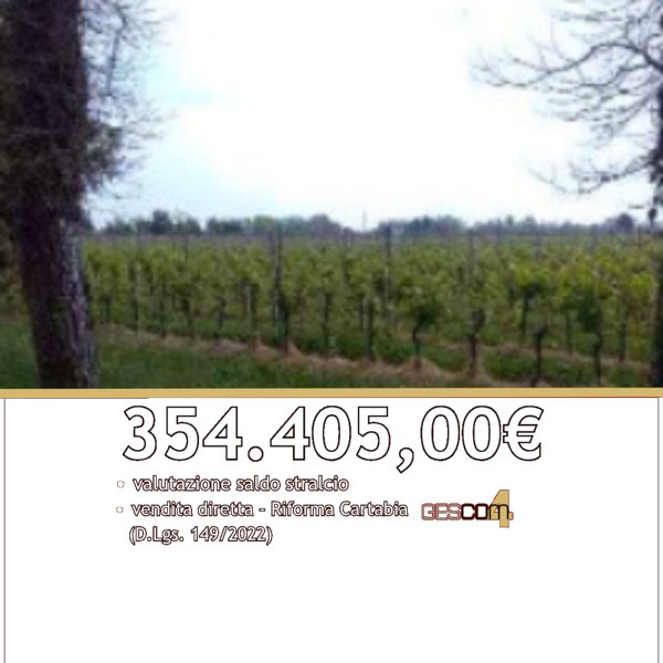 terreno in vendita a Caneva in zona Stevenà