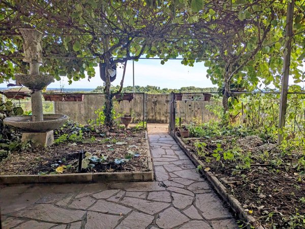 casa indipendente in vendita a Castelnovo del Friuli