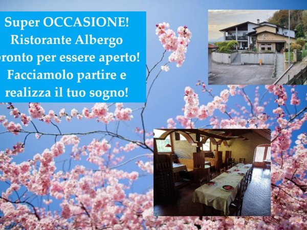 negozio in vendita a Castelnovo del Friuli