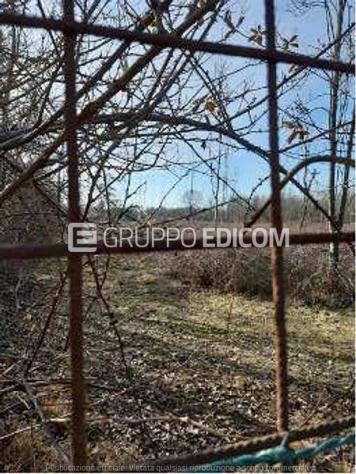 terreno agricolo in vendita a Chions