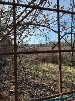 terreno agricolo in vendita a Chions